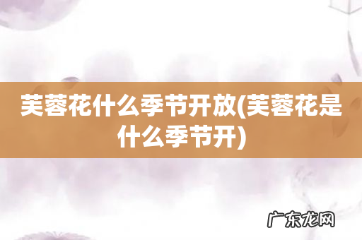 芙蓉花是什么季节开 芙蓉花什么季节开放