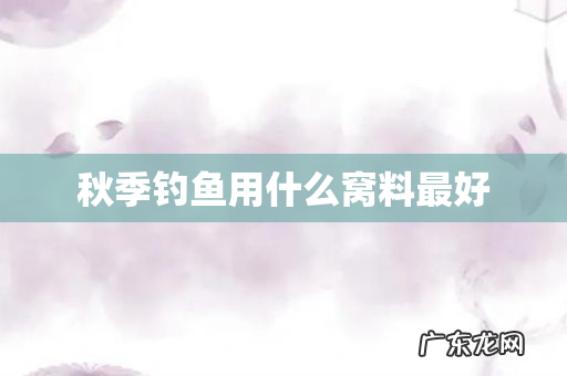 秋季钓鱼用什么窝料最好