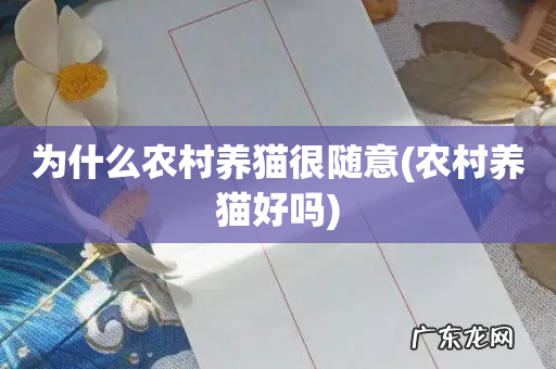农村养猫好吗 为什么农村养猫很随意