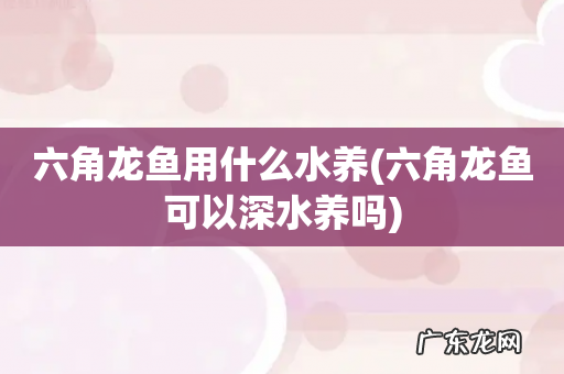 六角龙鱼可以深水养吗 六角龙鱼用什么水养