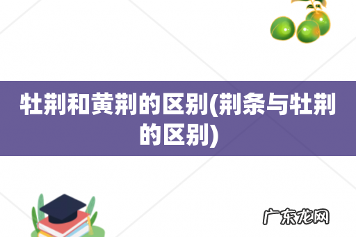 荆条与牡荆的区别 牡荆和黄荆的区别