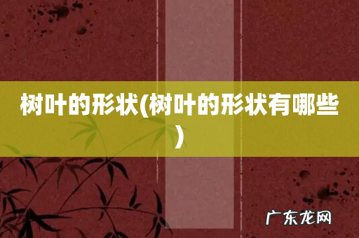 树叶的形状有哪些 树叶的形状