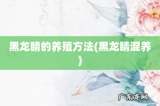 黑龙睛混养 黑龙睛的养殖方法