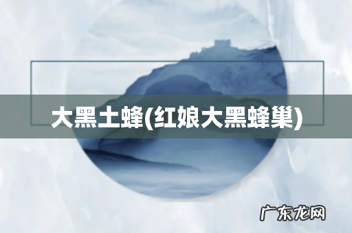 红娘大黑蜂巢 大黑土蜂