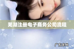 芜湖注册电子商务公司流程