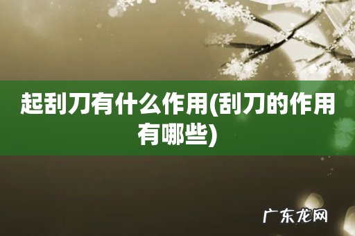 刮刀的作用有哪些 起刮刀有什么作用