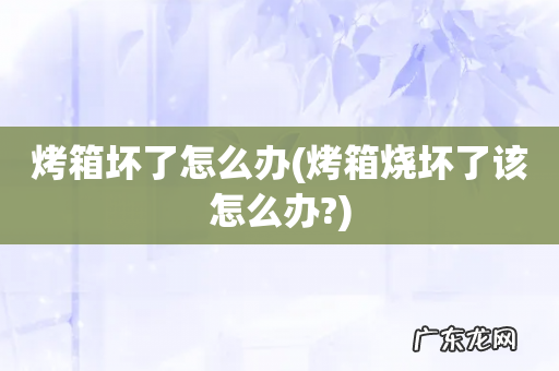 烤箱烧坏了该怎么办? 烤箱坏了怎么办