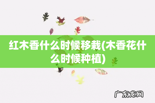 木香花什么时候种植 红木香什么时候移栽