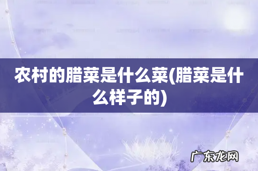 腊菜是什么样子的 农村的腊菜是什么菜