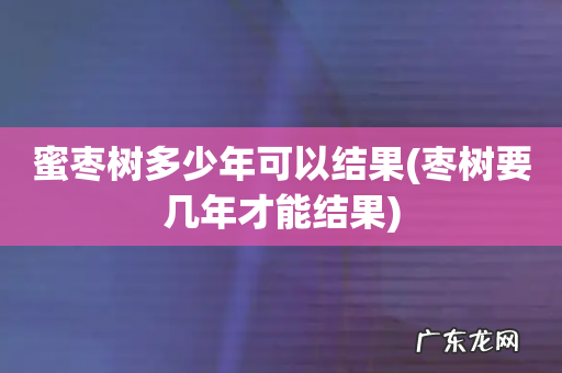枣树要几年才能结果 蜜枣树多少年可以结果