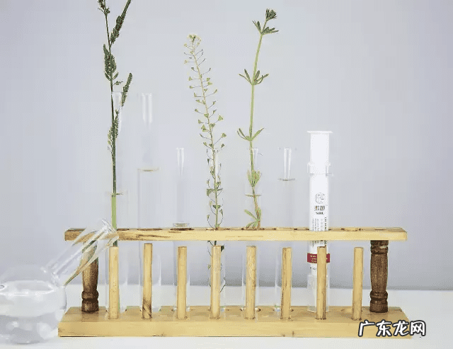 高敏感者什么意思 高敏体质是什么意思