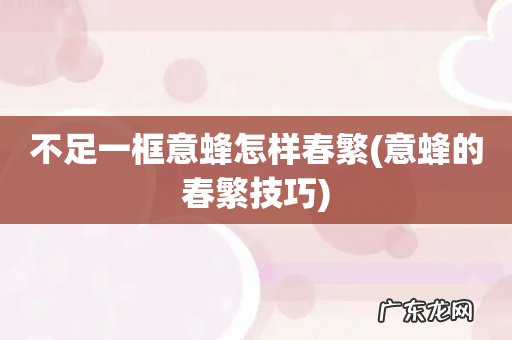意蜂的春繁技巧 不足一框意蜂怎样春繁