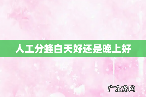 人工分蜂白天好还是晚上好