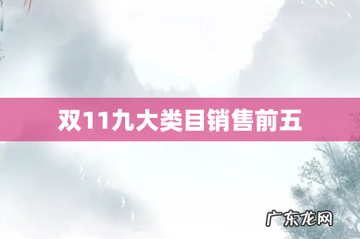 双11九大类目销售前五