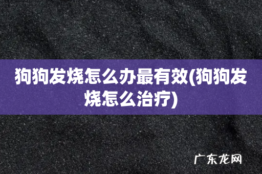 狗狗发烧怎么治疗 狗狗发烧怎么办最有效