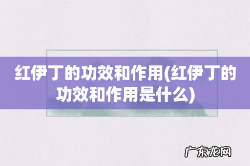 红伊丁的功效和作用是什么 红伊丁的功效和作用