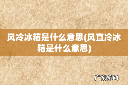 风直冷冰箱是什么意思 风冷冰箱是什么意思
