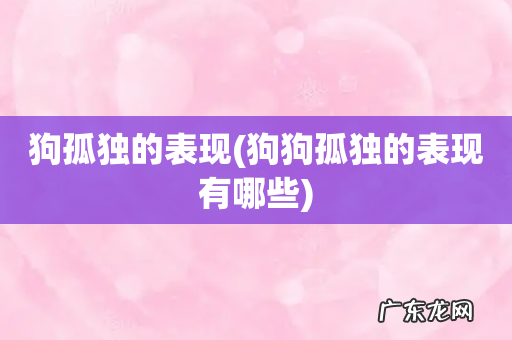 狗狗孤独的表现有哪些 狗孤独的表现