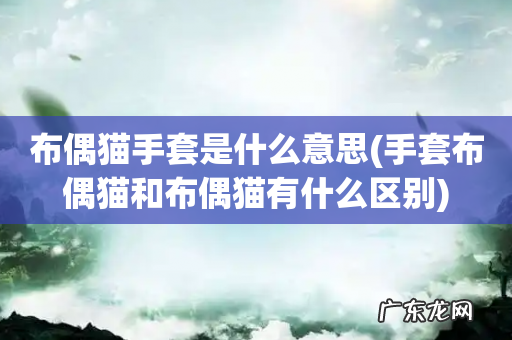 手套布偶猫和布偶猫有什么区别 布偶猫手套是什么意思