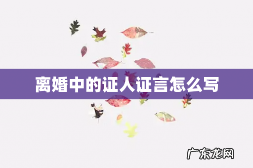 离婚中的证人证言怎么写