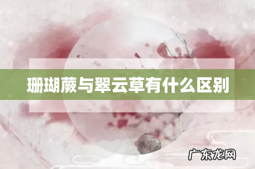 珊瑚蕨与翠云草有什么区别