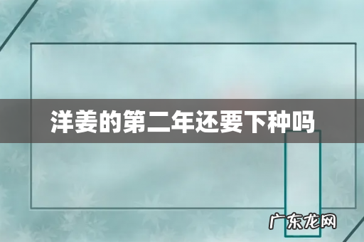洋姜的第二年还要下种吗