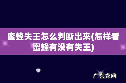 怎样看蜜蜂有没有失王 蜜蜂失王怎么判断出来