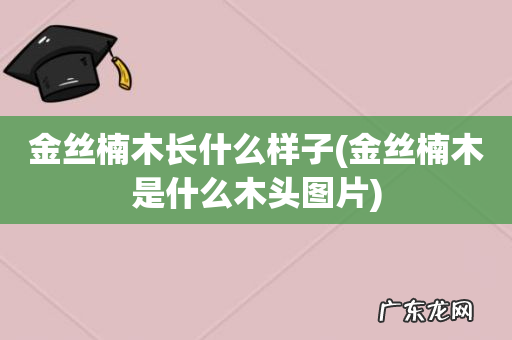 金丝楠木是什么木头图片 金丝楠木长什么样子