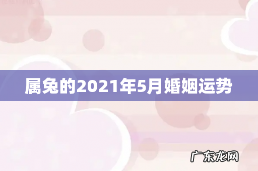 属兔的2021年5月婚姻运势
