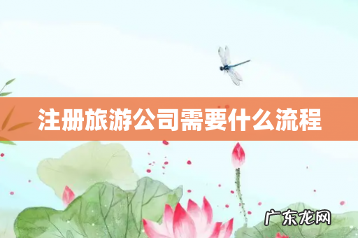 注册旅游公司需要什么流程
