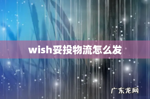 wish妥投物流怎么发