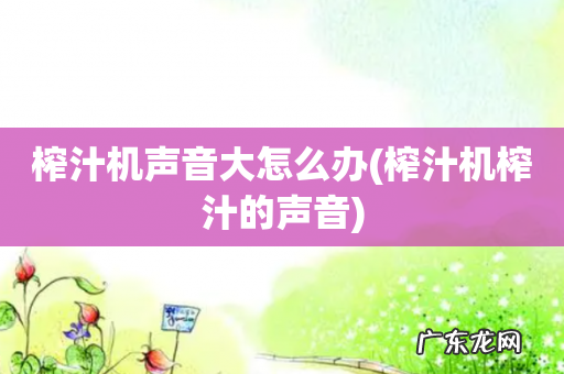 榨汁机榨汁的声音 榨汁机声音大怎么办