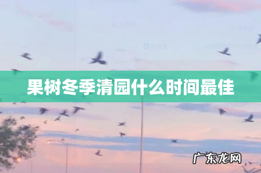果树冬季清园什么时间最佳