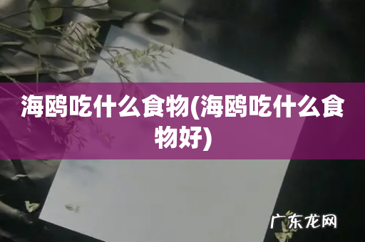 海鸥吃什么食物好 海鸥吃什么食物