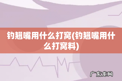 钓翘嘴用什么打窝料 钓翘嘴用什么打窝