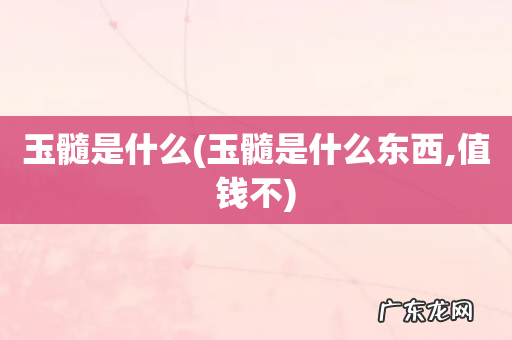 玉髓是什么东西,值钱不 玉髓是什么