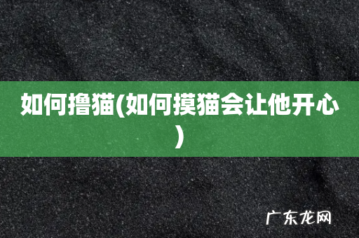 如何摸猫会让他开心 如何撸猫