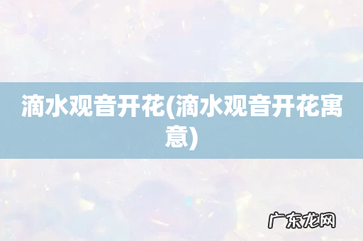 滴水观音开花寓意 滴水观音开花