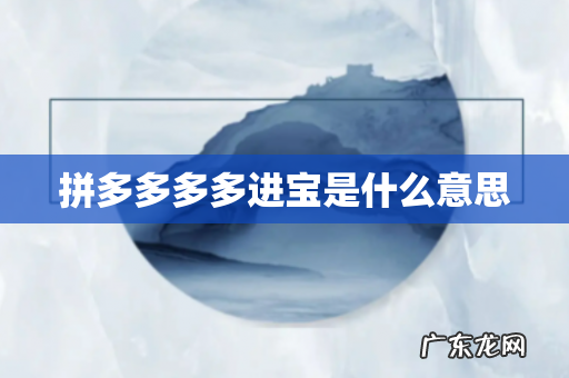 拼多多多多进宝是什么意思