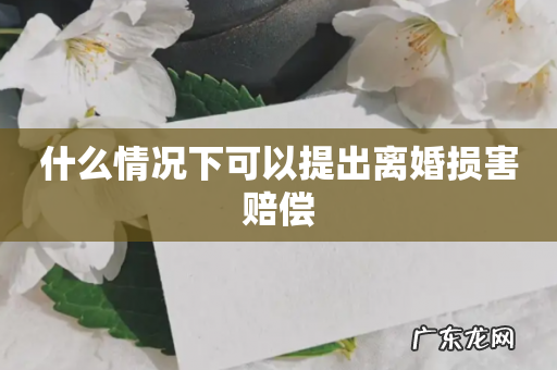 什么情况下可以提出离婚损害赔偿