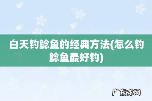 怎么钓鲶鱼最好钓 白天钓鲶鱼的经典方法