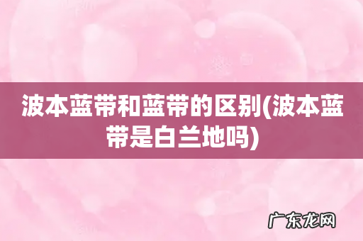 波本蓝带是白兰地吗 波本蓝带和蓝带的区别