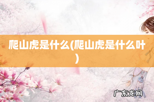 爬山虎是什么叶 爬山虎是什么