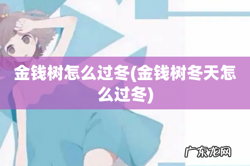 金钱树冬天怎么过冬 金钱树怎么过冬