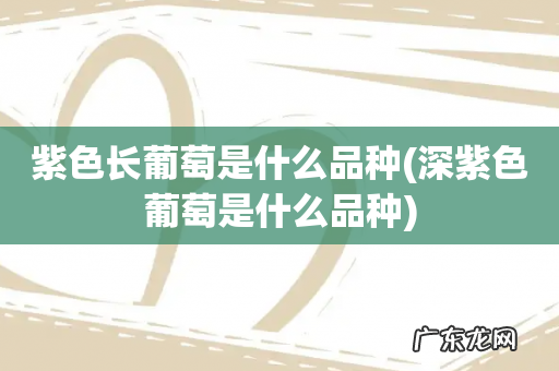 深紫色葡萄是什么品种 紫色长葡萄是什么品种
