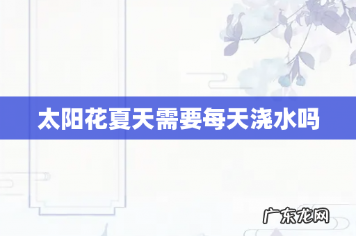 太阳花夏天需要每天浇水吗