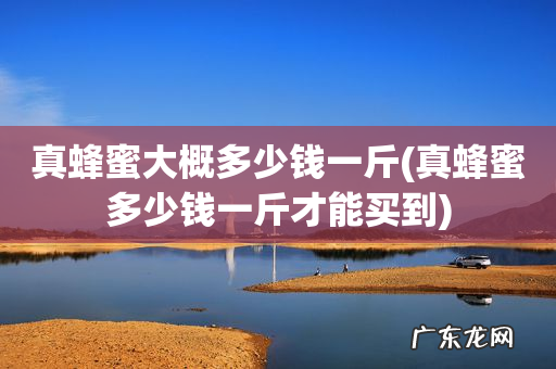 真蜂蜜多少钱一斤才能买到 真蜂蜜大概多少钱一斤