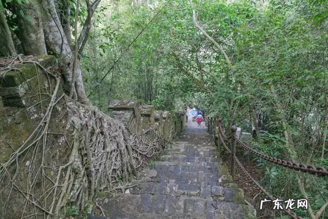 卫星地图风水宝地软件 广西风水宝地卫星图
