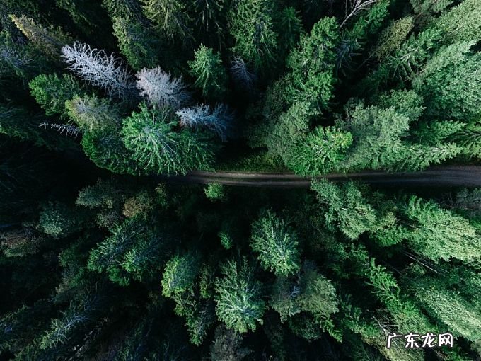 楼房沙盘风水图 沙盘风水讲解