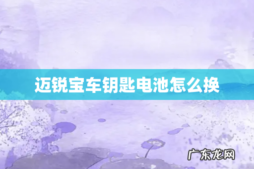 迈锐宝车钥匙电池怎么换